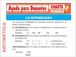 Modelo de la Ficha de La Divisibilidad para Cuarto de Primaria