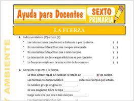 Modelo de la Ficha de La Fuerza para Sexto de Primaria