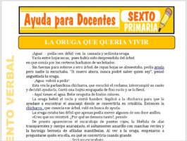 La Oruga que Queria Vivir para Sexto de Primaria