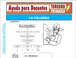 Modelo de la Ficha de La Palabra para Tercero de Primaria