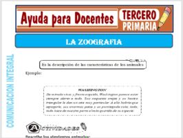 Modelo de la Ficha de La Zoografía para Tercero de Primaria