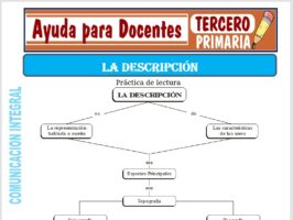 Modelo de la Ficha de La Descripción para Tercero de Primaria