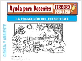 Modelo de la Ficha de La Formación del Ecosistema para Tercero de Primaria