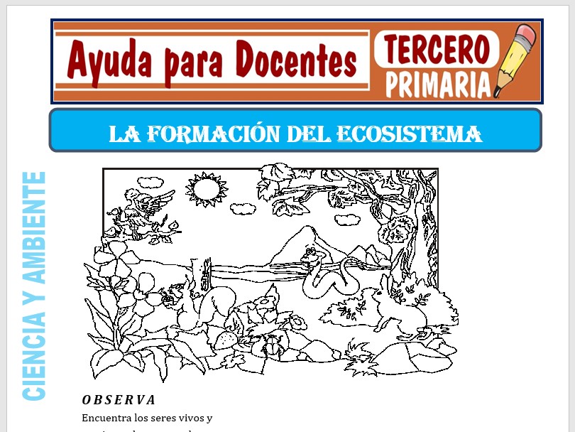 Modelo de la Ficha de La Formación del Ecosistema para Tercero de Primaria Modelo de la Ficha de La Formación del Ecosistema para Tercero de Primaria
