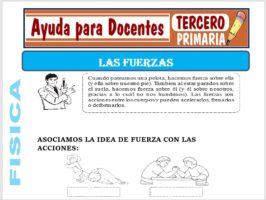 Modelo de la Ficha de La Fuerza para Tercero de Primaria
