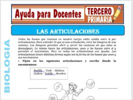 Modelo de la Ficha de Las Articulaciones para Tercero de Primaria