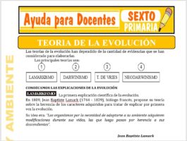 Modelo de la Ficha de Teoría de la Evolución para Sexto de Primaria