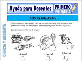Modelo de la Ficha de Los Alimentos para Primero de Primaria