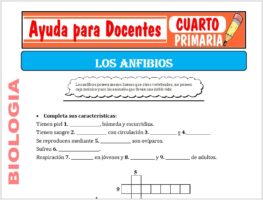Modelo de la Ficha de Los Anfibios para Cuarto de Primaria