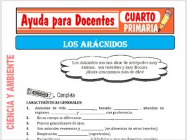 Modelo de la Ficha de Los Arácnidos para Cuarto de Primaria