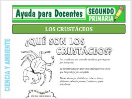 Modelo de la Ficha de Los Crustáceos para Segundo de Primaria