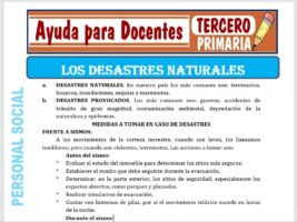 Modelo de la Ficha de Los Desastres Naturales para Tercero de Primaria