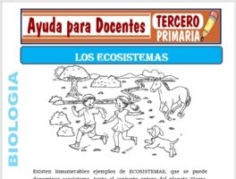 Modelo de la Ficha de Los Ecosistemas para Tercero de Primaria