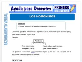 Modelo de la Ficha de Los Homónimos para Primero de Secundaria