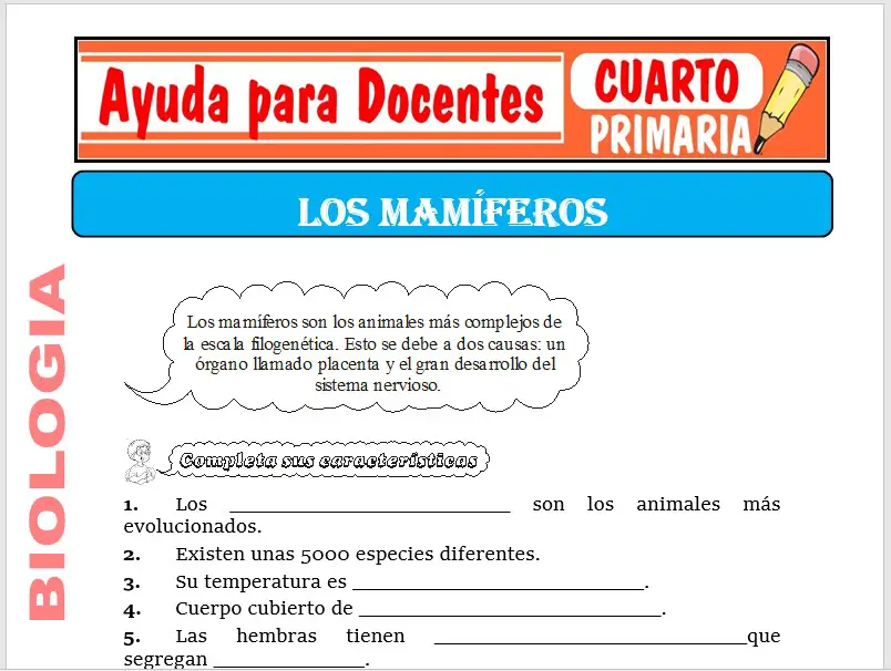 Modelo de la Ficha de Los Mamíferos para Cuarto de Primaria