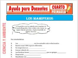 Modelo de la Ficha de Los Mamíferos para Cuarto de Primaria