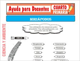 Modelo de la Ficha de Los Miriápodos para Cuarto de Primaria