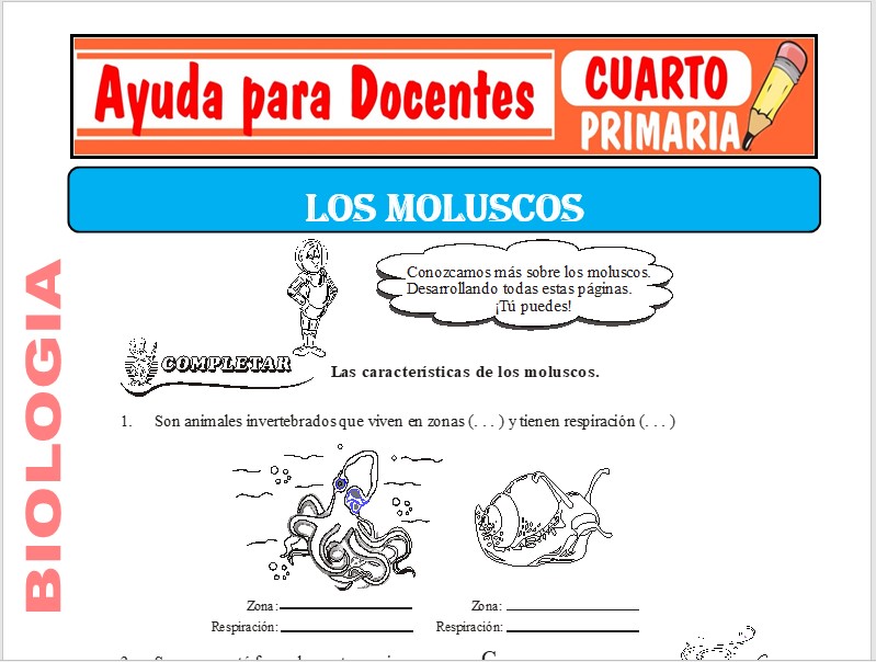 Los Moluscos para Cuarto de Primaria – Ayuda para Docentes