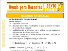 Modelo de la Ficha de Los Números Naturales para Sexto de Primaria