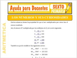 Modelo de la Ficha de Los Números y sus Curiosidades para Sexto de Primaria