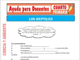 Modelo de la Ficha de Los Reptiles para Cuarto de Primaria