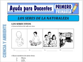 Modelo de la Ficha de Los Seres de la Naturaleza para Primero de Primaria