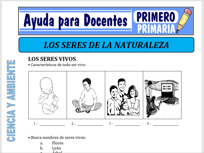 Modelo de la Ficha de Los Seres de la Naturaleza para Primero de Primaria Modelo de la Ficha de Los Seres de la Naturaleza para Primero de Primaria