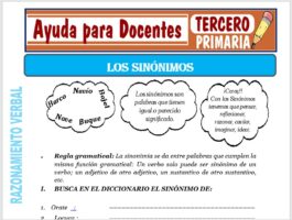 Modelo de la Ficha de Los Sinónimos para Tercero de Primaria