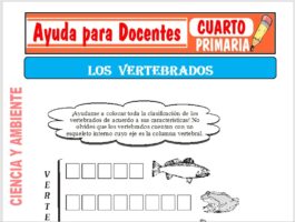 Modelo de la Ficha de Los Vertebrados para Cuarto de Primaria