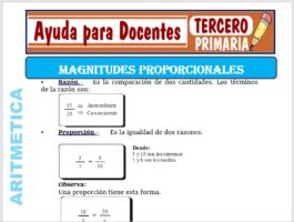 Modelo de la Ficha de Magnitudes Proporcionales para Tercero de Primaria