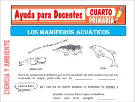 Modelo de la Ficha de Mamíferos Acuáticos para Cuarto de Primaria