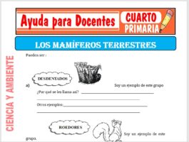 Modelo de la Ficha de Mamíferos Terrestres para Cuarto de Primaria