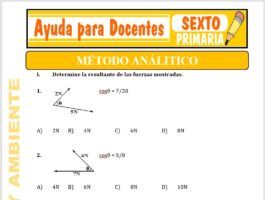 Modelo de la Ficha de Método Analítico para Sexto de Primaria