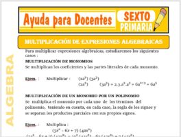 Modelo de la Ficha de Multiplicación de Expresiones Algebraicas para Sexto de Primaria
