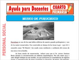 Modelo de la Ficha de Museo de Puruchuco para Cuarto de Primaria