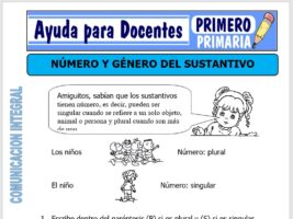 Modelo de la Ficha de Numero y Genero del sustantivo para Primero de Primaria