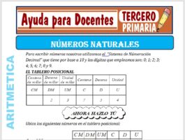 Modelo de la Ficha de Los Números Naturales para Tercero de Primaria