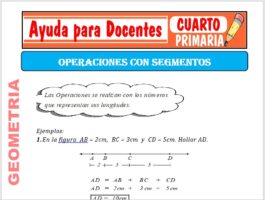 Modelo de la Ficha de Operación con Segmentos para Cuarto de Primaria