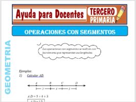 Modelo de la Ficha de Operaciones con Segmentos para Tercero de Primaria