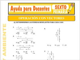 Modelo de la Ficha de Operación con Vectores para Sexto de Primaria
