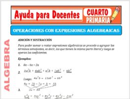 Modelo de la Ficha de Operaciones con Fracciones Algebraicas para Cuarto de Primaria