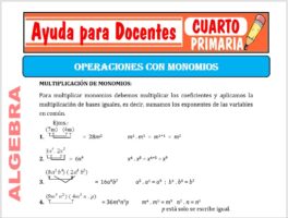Modelo de la Ficha de Operaciones con Monomios para Cuarto de Primaria