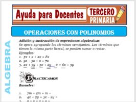 Modelo de la Ficha de Operaciones con Polinomios para Tercero de Primaria
