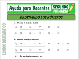 Modelo de la Ficha de Ordenando los Números para Segundo de Primaria