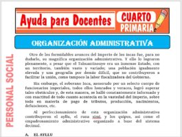 Modelo de la Ficha de Organización Administrativa para Cuarto de Primaria
