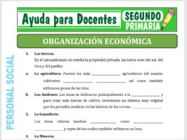 Modelo de la Ficha de Organización Económica para Segundo de Primaria