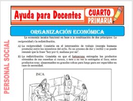Modelo de la Ficha de Organización Económica para Cuarto de Primaria