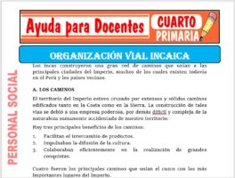 Modelo de la Ficha de Organización Vial Inca para Cuarto de Primaria