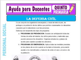 Modelo de la Ficha de Organización de Defensa Civil para Quinto de Primaria