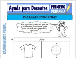 Modelo de la Ficha de Palabras Homónimas para Primero de Primaria
